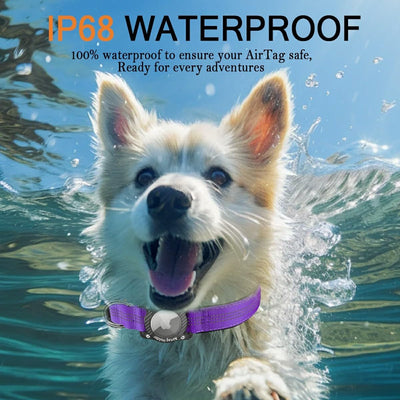 Collar perro con AirTag impermeable IPX8 morado XL