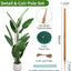 Soporte plantas Monstera 49" poste musgo fibra coco