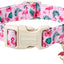 Collar verano ajustable para perros con hebilla rápida