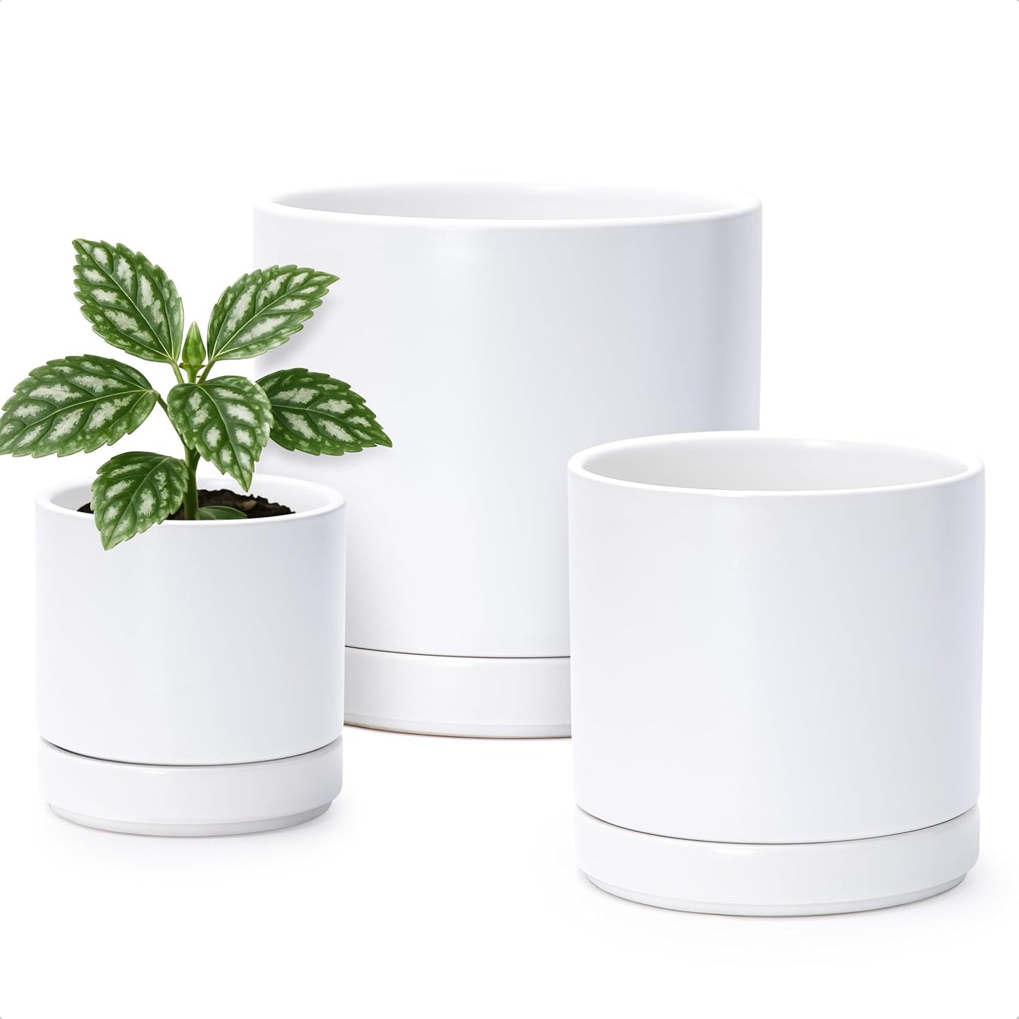 Set 3 Macetas Cerámica 4-6-8pulg Orificio Drenaje Platillo Blanco