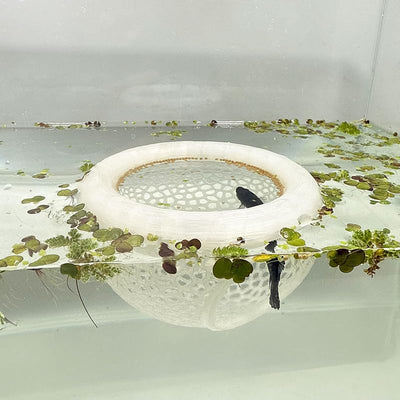 Decoraciones flotantes para acuario peces Betta y camarones