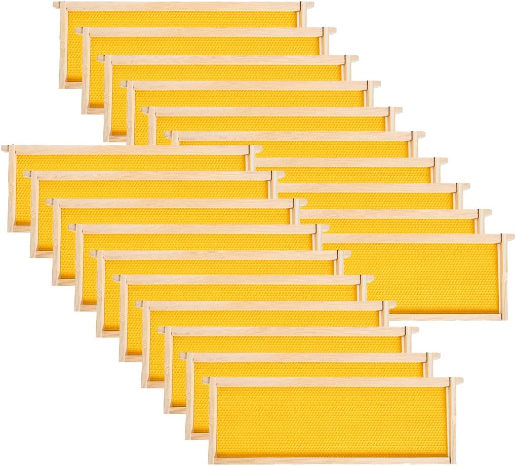 Pack 20 Marcos Abeja Miel con Base Cera 6-1/4pulg Amarillo