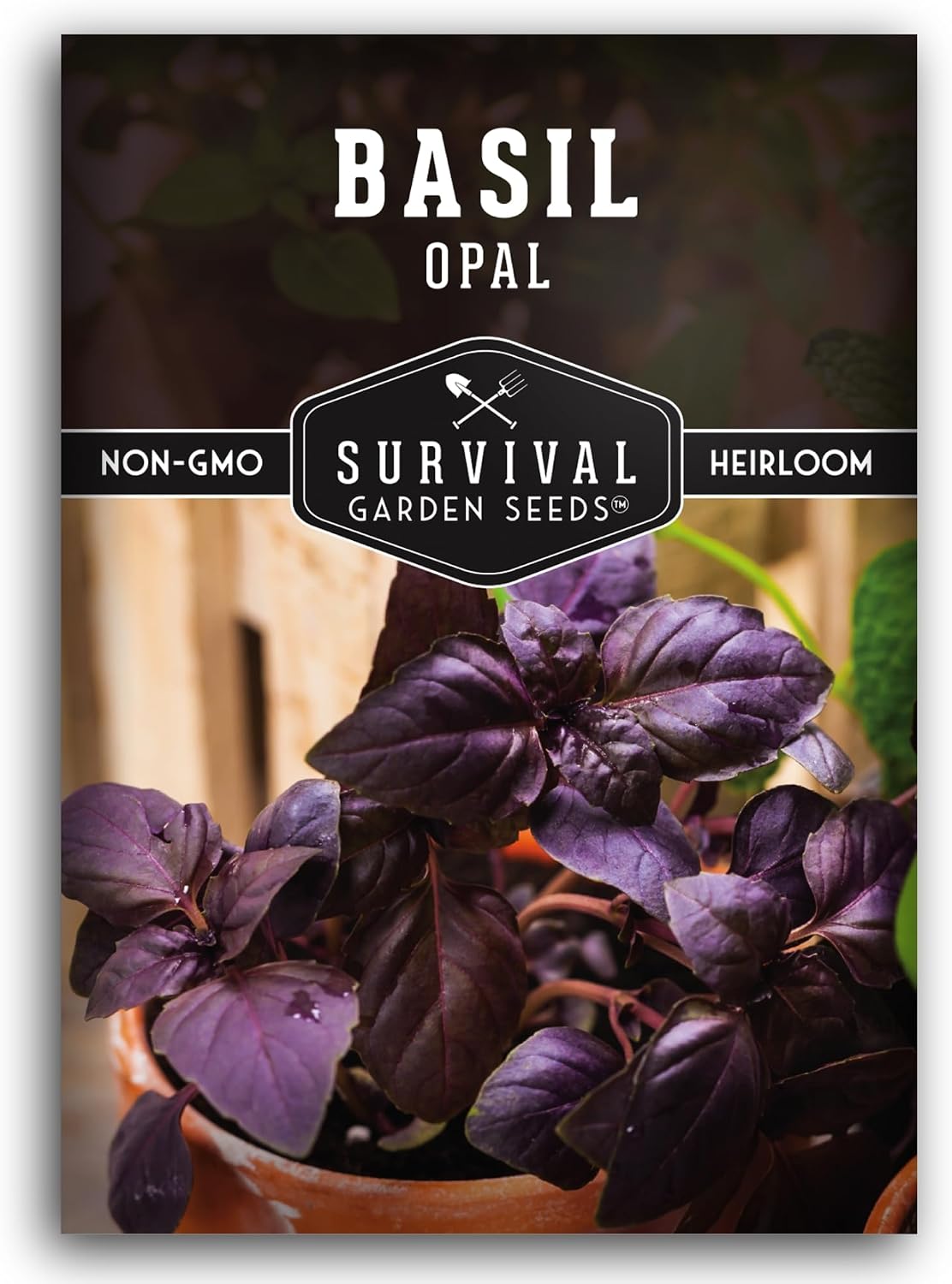 Semillas albahaca opalo hojas moradas paquete 1