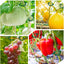 200 Clips Tomate Jardín para Cultivo Vertical Verde