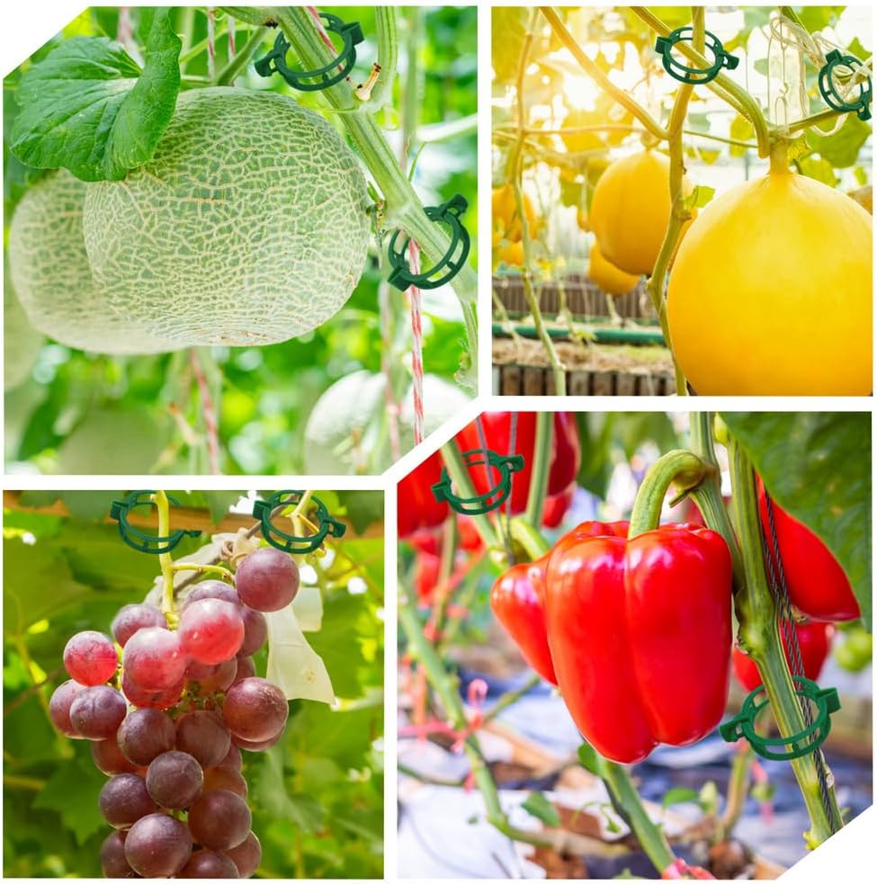 200 Clips Tomate Jardín para Cultivo Vertical Verde