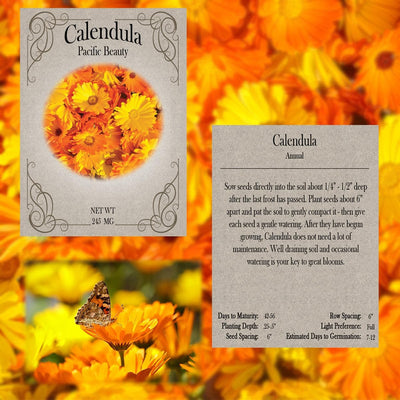 Juego 20 semillas flores alta calidad girasol caléndula lavanda