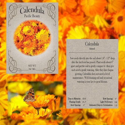 Juego 20 semillas flores alta calidad girasol caléndula lavanda
