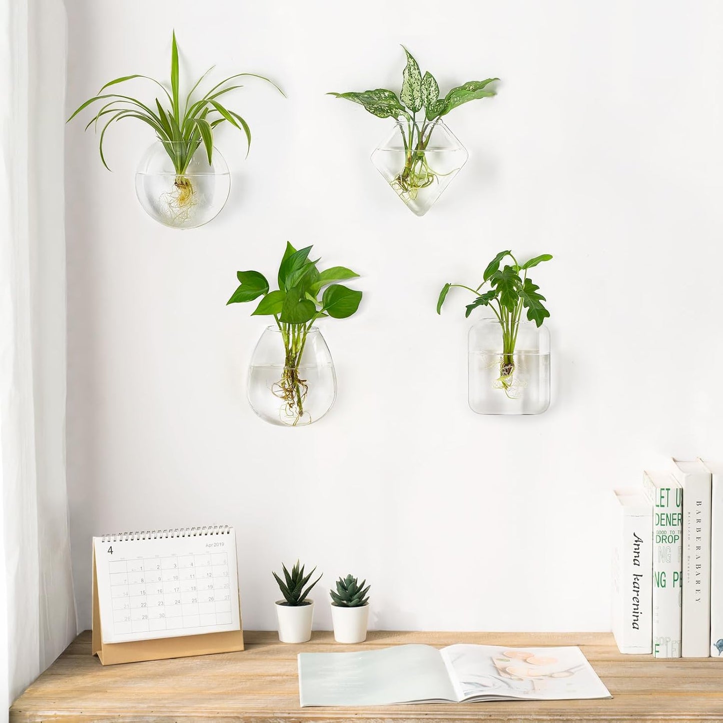 Set 4 Macetas Terrario Vidrio para Plantas Interiores