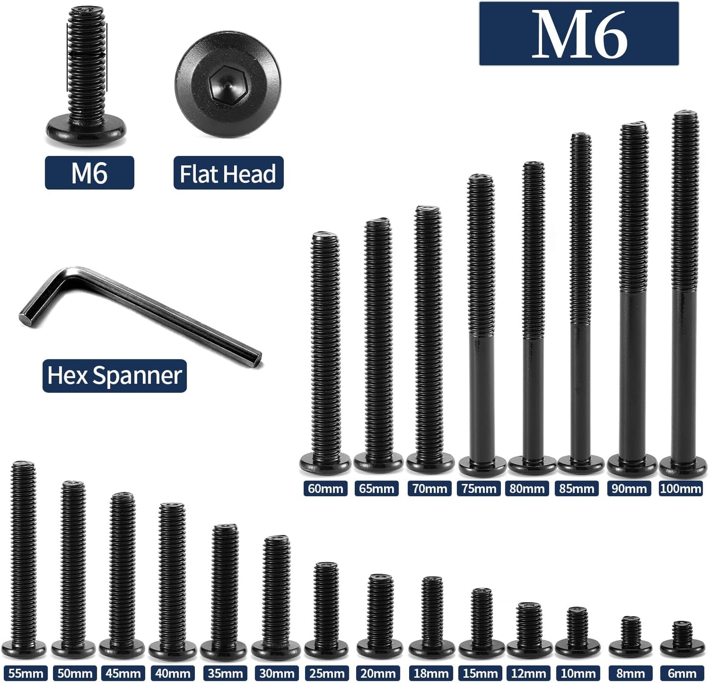 20 Pzas Tornillos M6x65mm Acero Inox 304 18-8