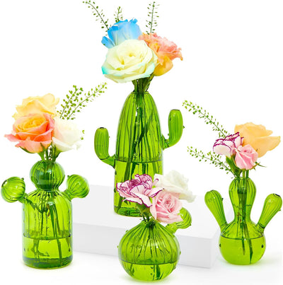 Jarrón vidrio para cactus y plantas hidropónicas