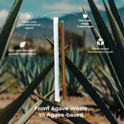Pajitas fibra agave recicladas 1500uds 8pulg marrón