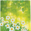 Set cortina regadera con ganchos decorativo