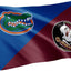 Pancartas FSU Seminoles vs UF Gators 3x5ft poliéster
