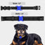 Soporte collar perro gato antipérdida 1.2-1.5pulg azul