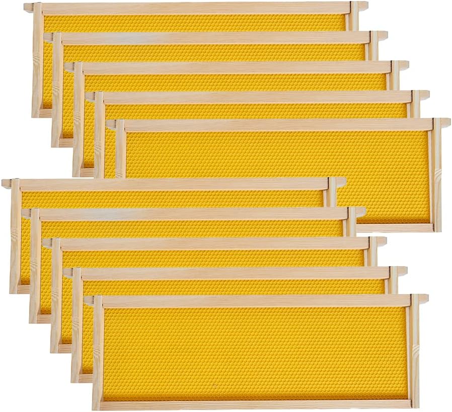 Marcos colmena con base cera 10 pzas 6-1/4" amarillo