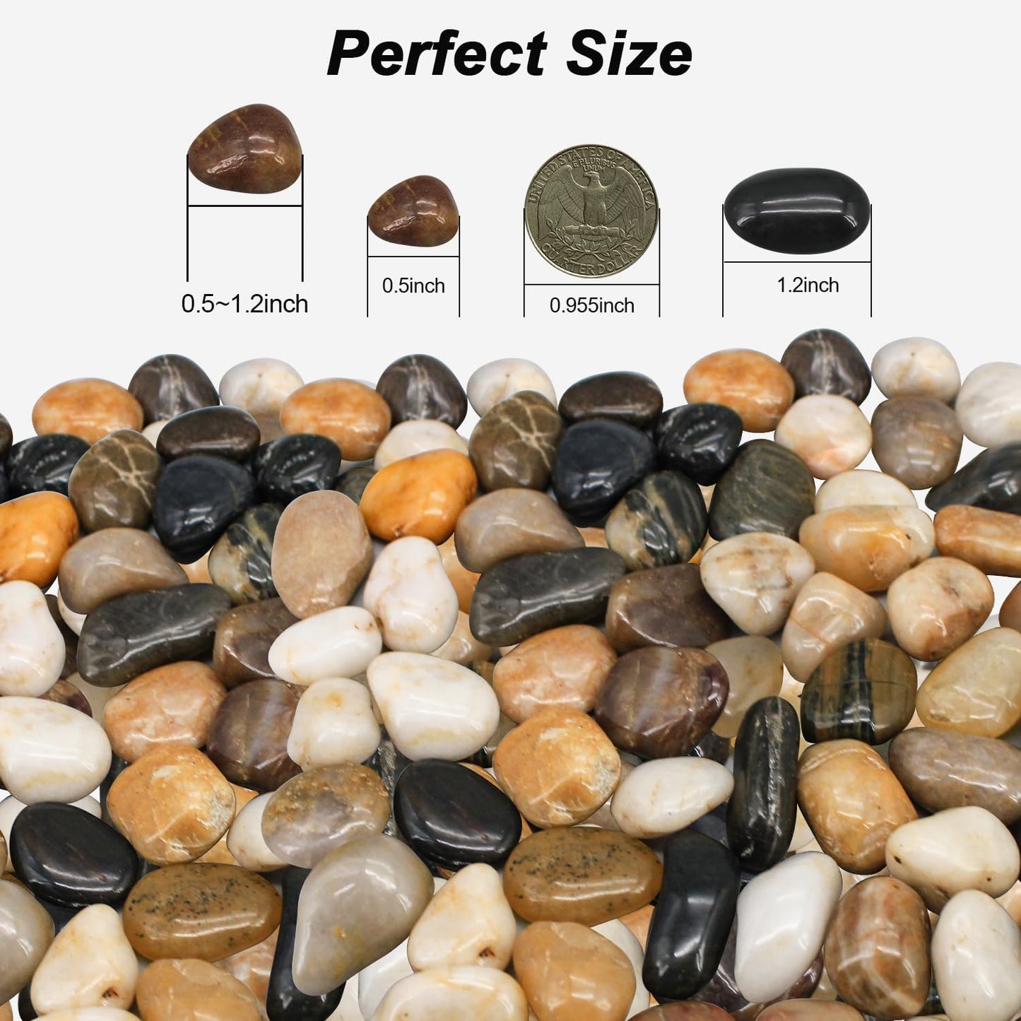Piedras decorativas para macetas y jardín