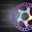 Rotores freno disco bicicleta MTB acero inox 140-203mm
