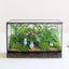 Terrario vidrio tapa caja negra plantas interior decoración mesa
