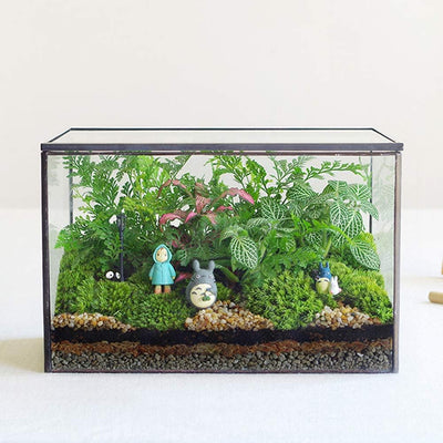 Terrario vidrio tapa caja negra plantas interior decoración mesa
