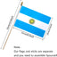 Banderas Argentina 5x8" pack 12