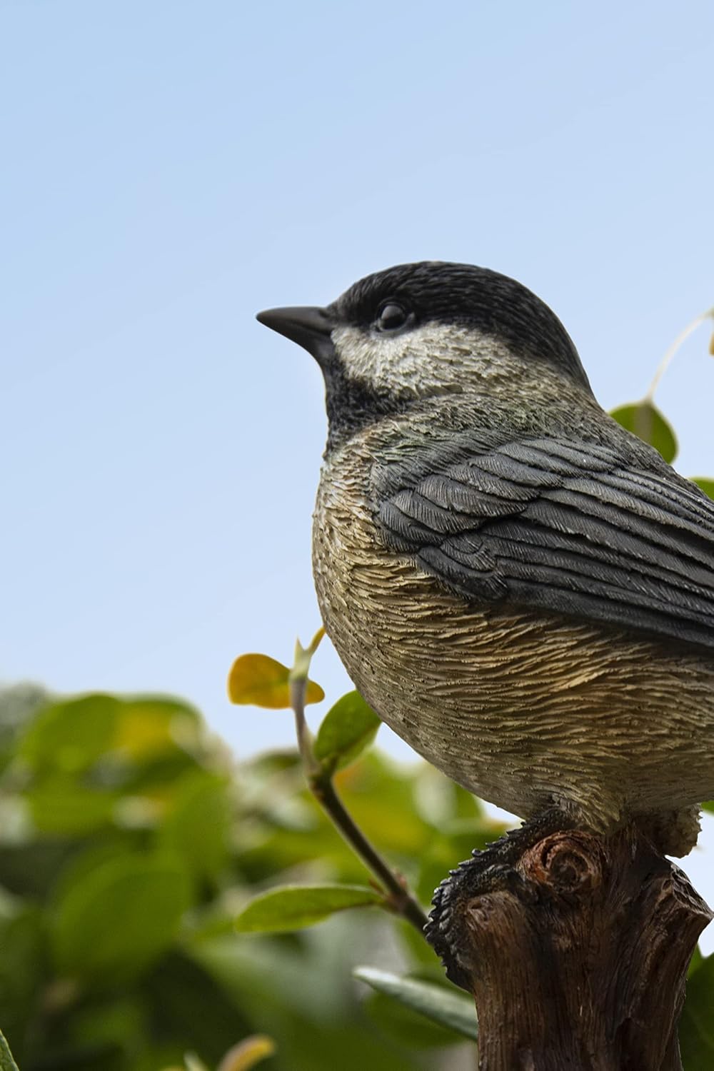 Estatuas pájaro tocón Chickadee decoración
