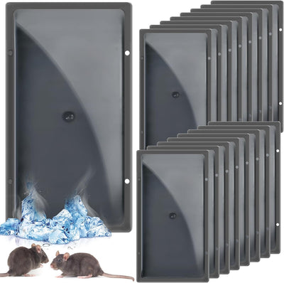 16 Trampas Adhesivas para Ratones Hogar Resistentes