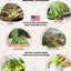 Kit 50 semillas vegetales hierbas frutas EE.UU. no transgénicas