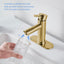 Grifo baño una manija acero inox oro cepillado con drenaje