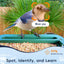 Comedero pájaros cámara 32mp 4k wifi IA identificar aves