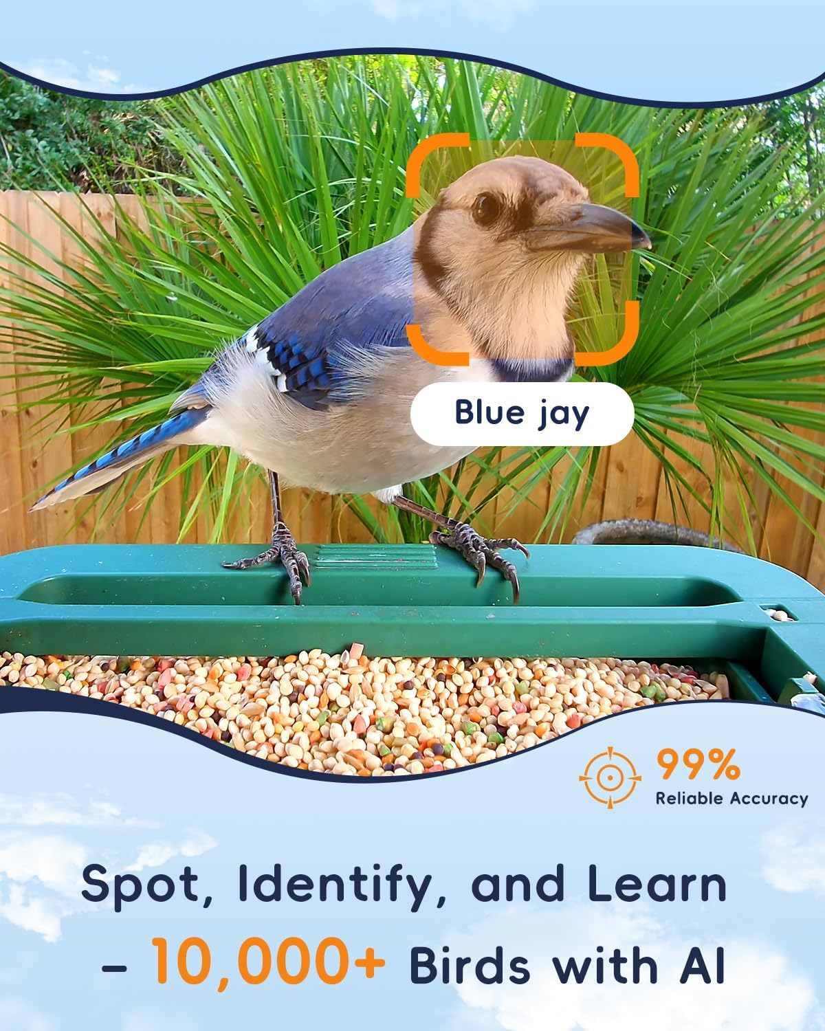 Comedero pájaros cámara 32mp 4k wifi IA identificar aves