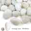 Rocas blancas de río 10lb pulidas 2-3pulg decoración exterior