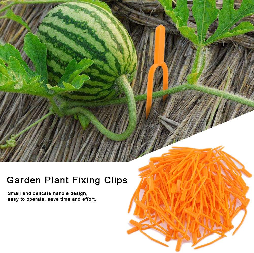 100 Clips Fijación Plantas Jardinería Reutilizables