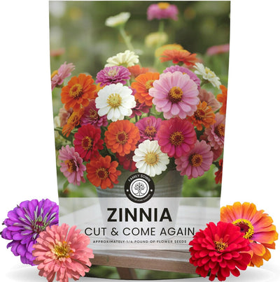 Semillas Zinnia 4oz Bolsa 16000 unidades
