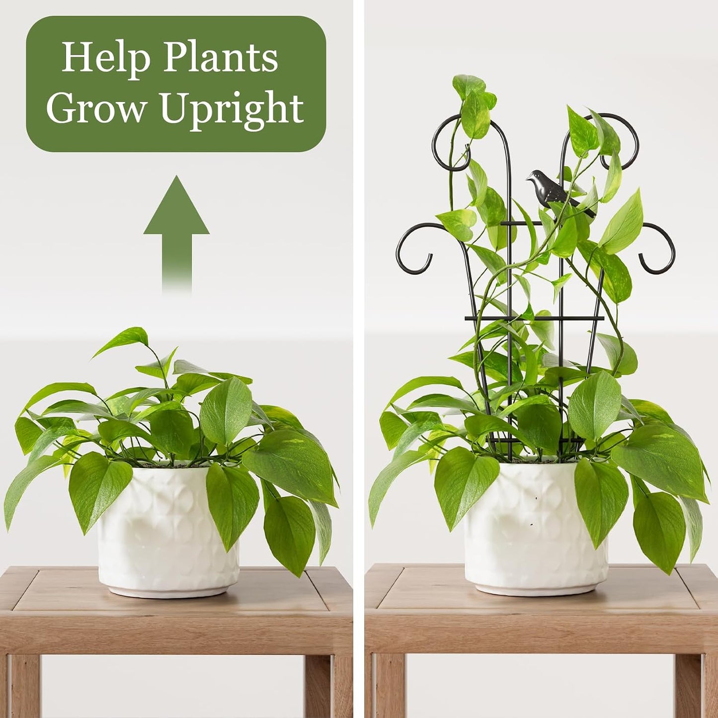 Enrejado apilable para plantas trepadoras y hiedra