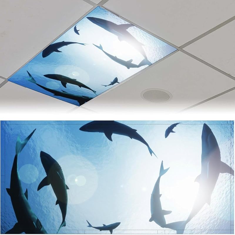 2 Cubiertas Luz Fluorescente Magnéticas 4x2pulg Escuela Hogar