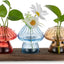 Estación propagación plantas frasco vidrio soporte madera