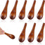 8 Cucharas Madera Pequeñas para Especias y Salsas