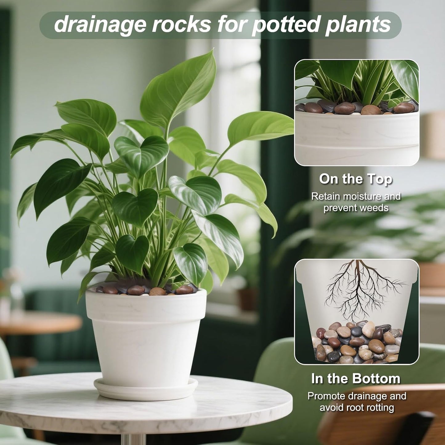 Rocas de río para plantas decorativas interiores y