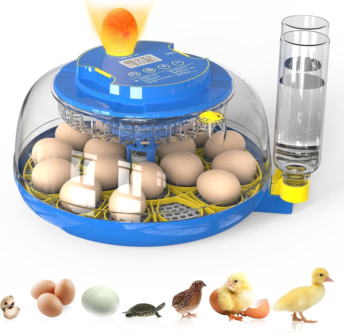 18 Incubadoras Huevos Giro Automático Control Humedad