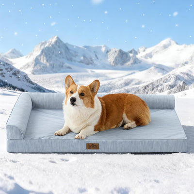 Cama ortopédica perro funda extraíble base antiderrap