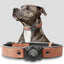 Collar perro AirTag cuero impermeable marrón
