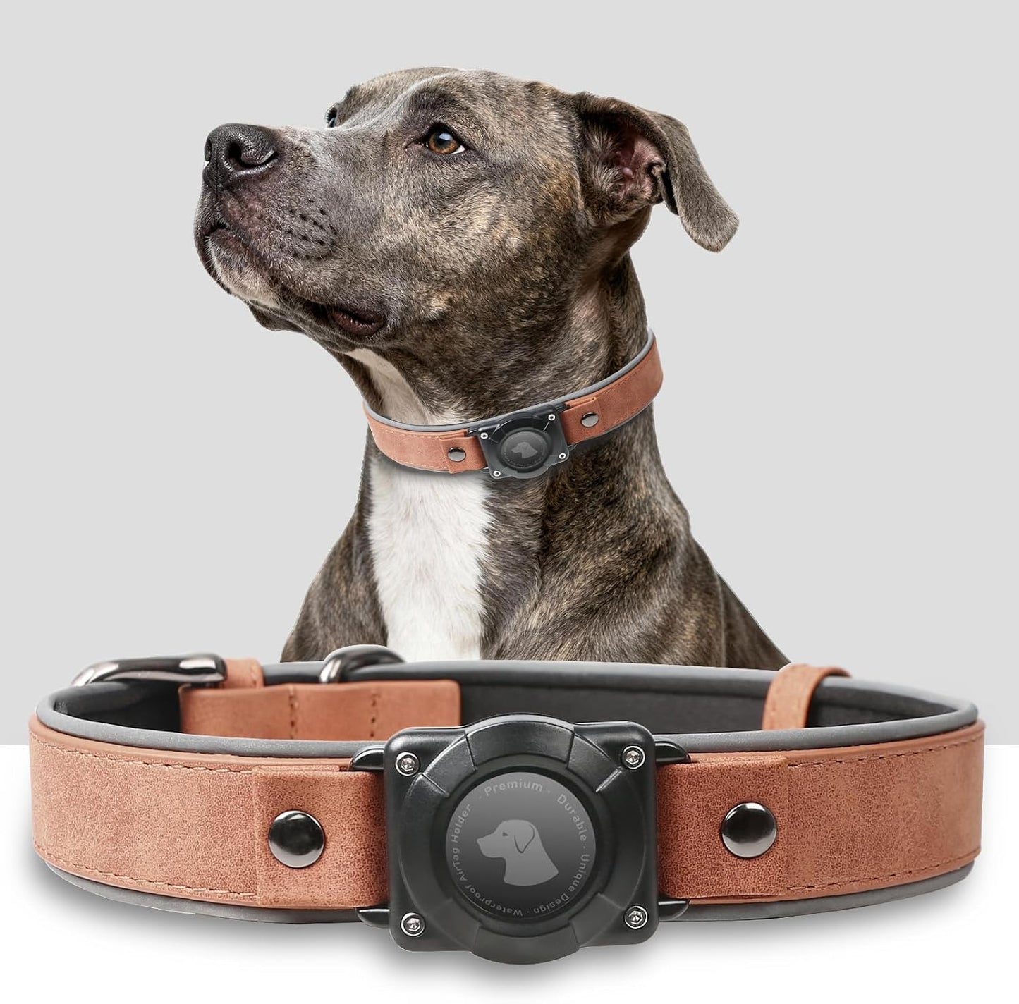 Collar perro AirTag cuero impermeable marrón