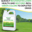 Abono líquido orgánico para césped con microbios 946ml