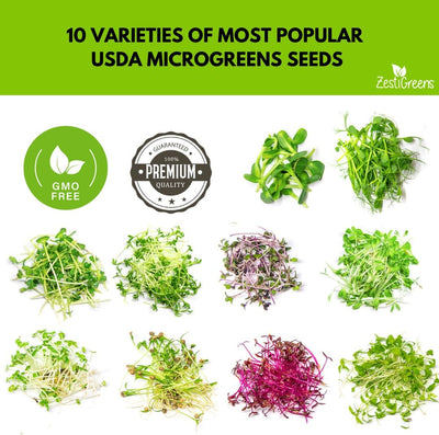 Pack 10 semillas microgreens brócoli girasol guisante