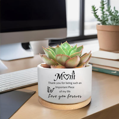 Maceta para suculentas y cactus regalo para mamá