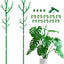 Estacas soporte plantas ajustables para Monstera 51pulg 2 juegos