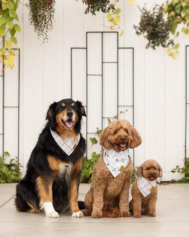 Paquete 2 Bandanas Perros Tela Poliéster Ajustable