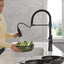 Grifo cocina comercial Ermelo Pro rociador extraíble negro