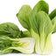 1000 Semillas Bok Choy Tallo Verde Sin OMG