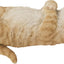 Regalo gato durmiente color naranja
